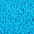 Chocolate Covered Candy Baby Blue Sunflower Seeds